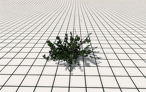 afghan vegetation 24 tree 3d max - 24 Afghan Vegetation Models by pure3dviz